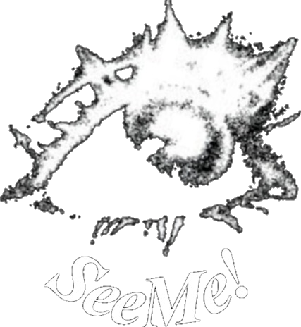 SeeMe Logo